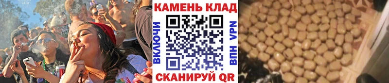 как найти закладки Суздаль ГАШ Premium