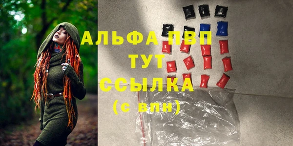 спиды Абаза
